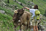 31 Incontro ravvicinato cordiale